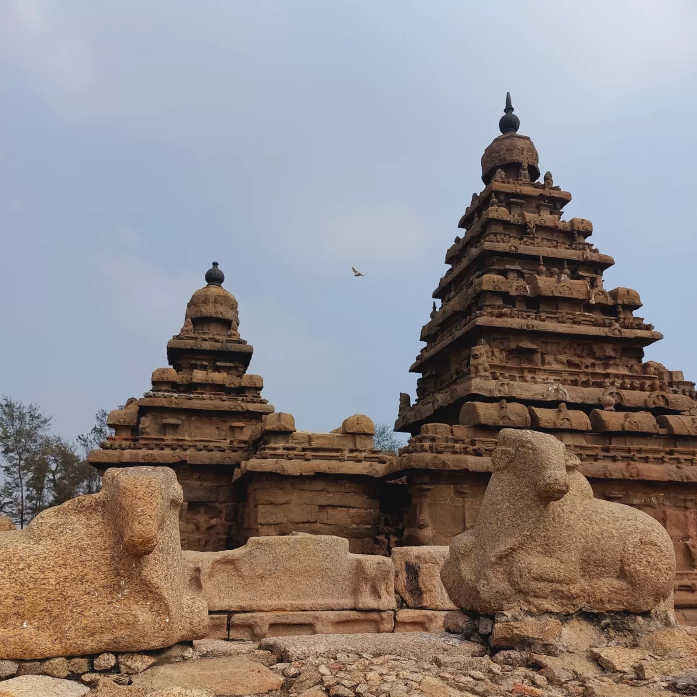 Photo of Shore Temple By Ravindra Vasireddy