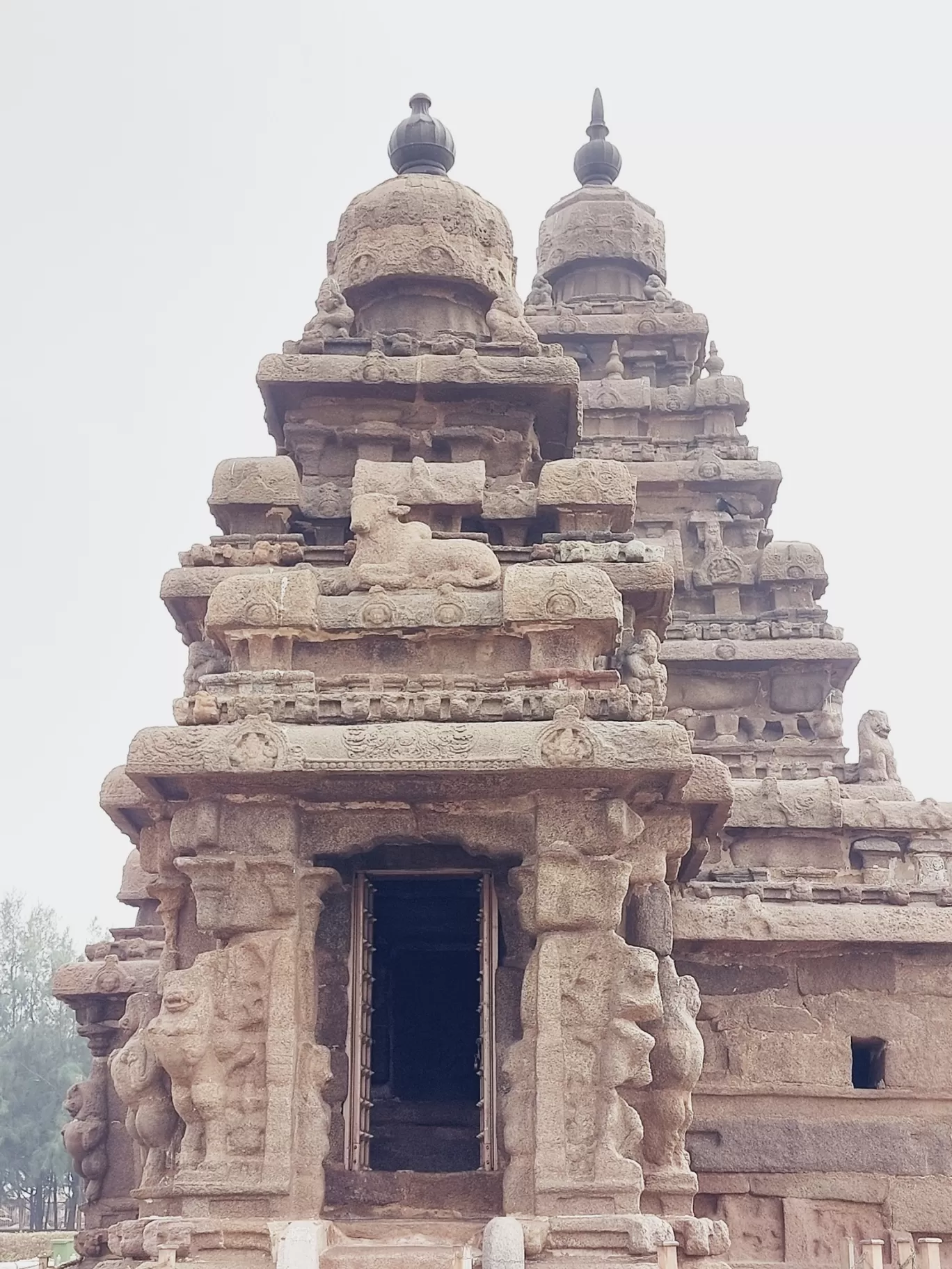 Photo of Shore Temple By Ravindra Vasireddy