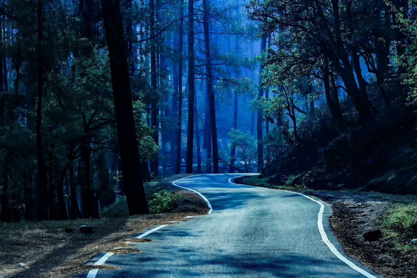Photo of Jarmola Forest Rest House By Ashir Kumar