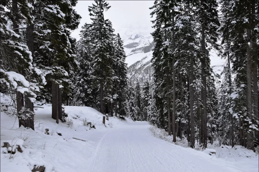 Photo of Kandersteg By Annet P S