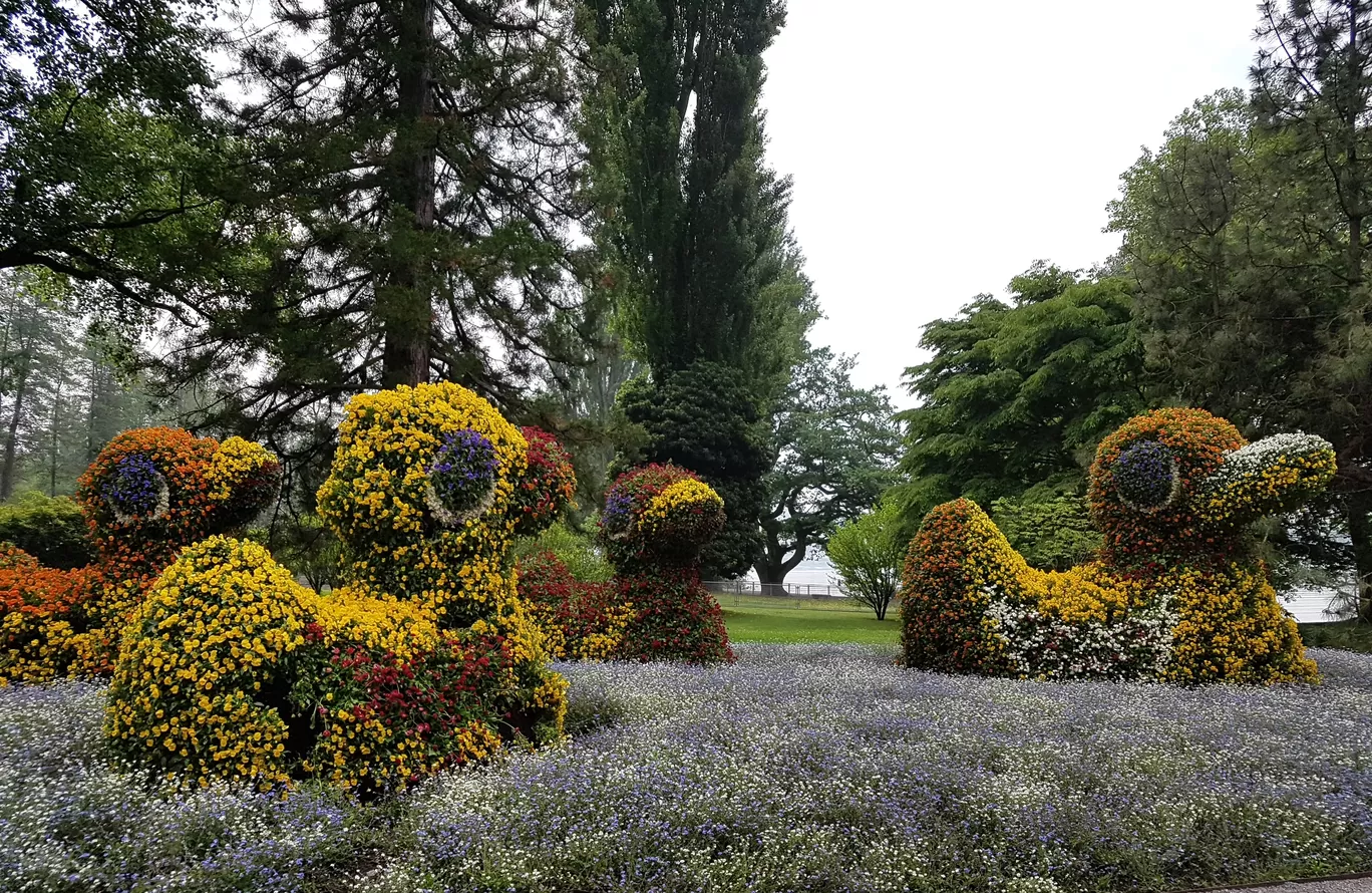 Photo of Island Mainau By Annet P S