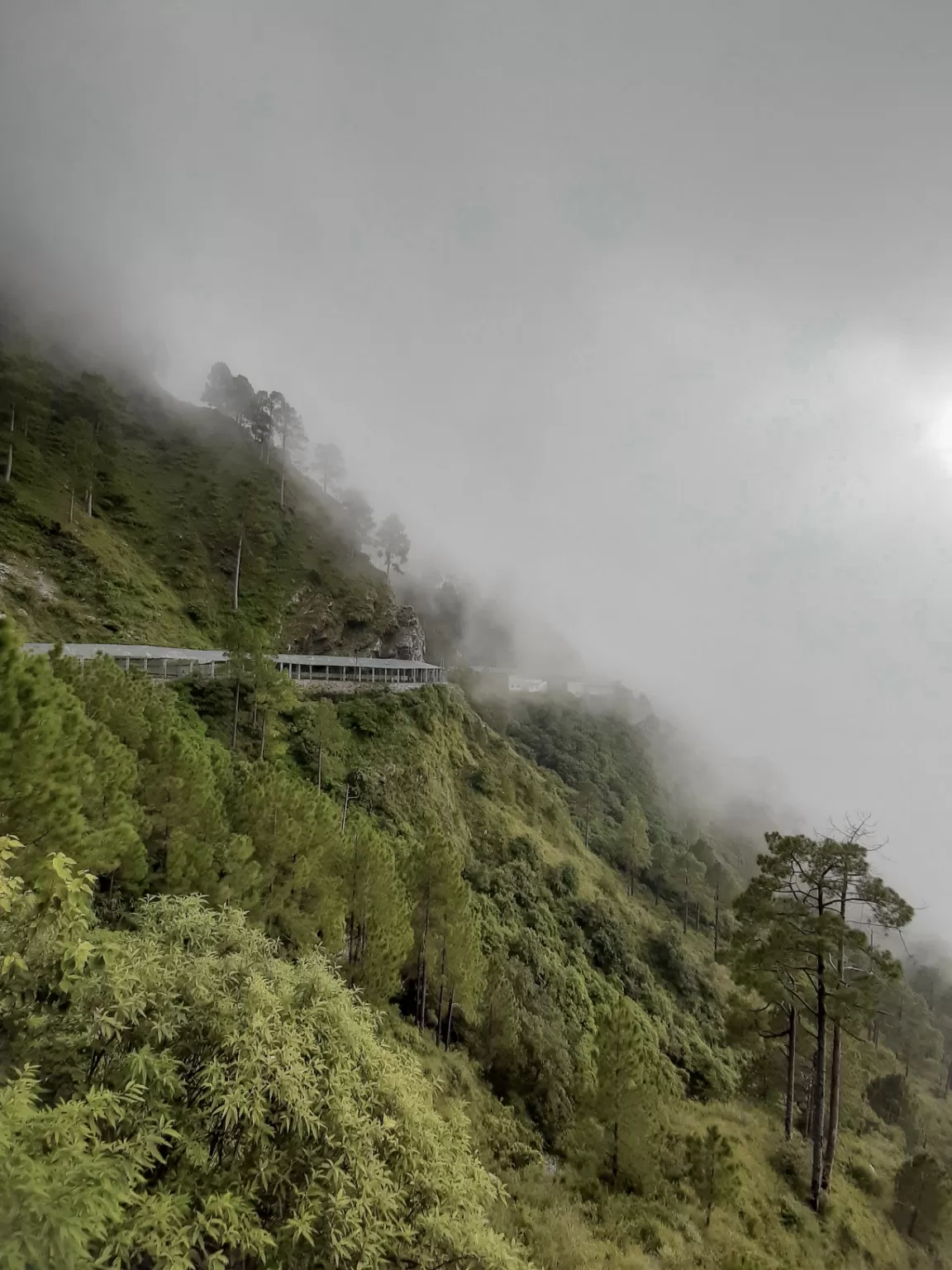 Photo of Vaishnodevi! By Anmol Kakwani