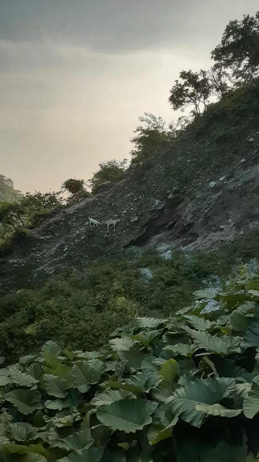 Photo of Vaishnodevi! By Anmol Kakwani