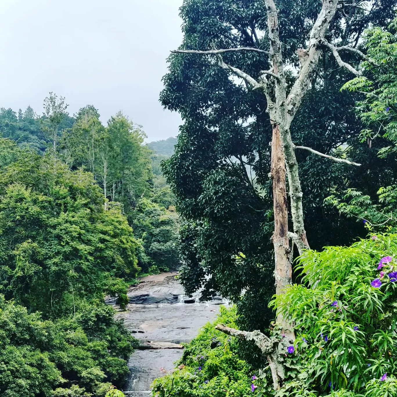 Photo of Kodaikanal By Prem Kumar