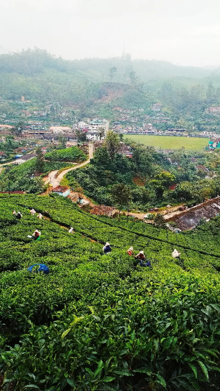 Photo of Munnar By Girish Hiranand