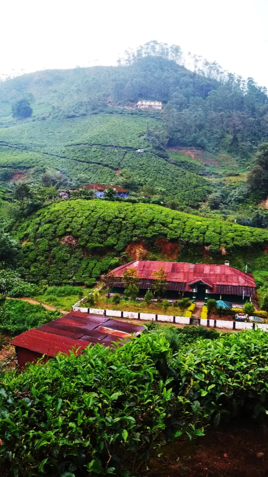 Photo of Munnar By Girish Hiranand