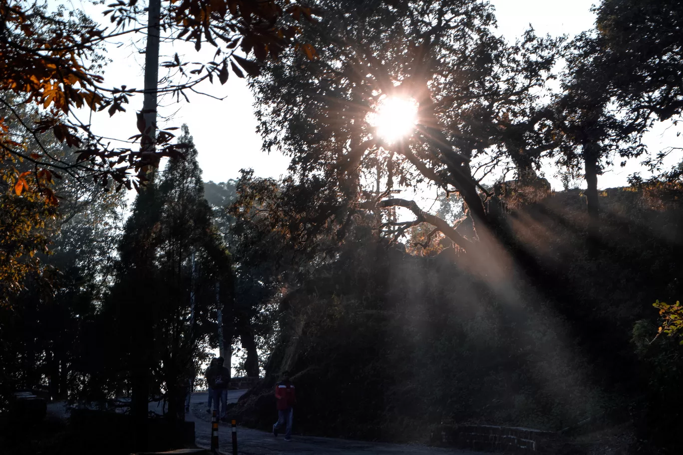 Photo of Lansdowne By Shatakshi Gupta