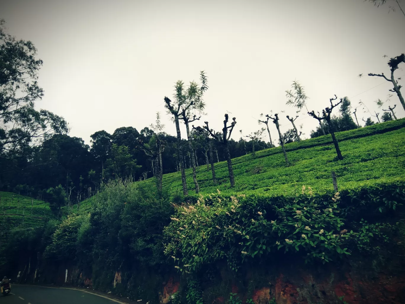 Photo of Ooty By Ashwin TR