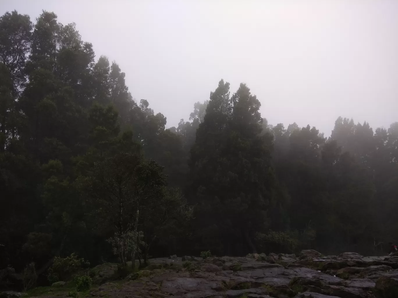 Photo of Ooty By Ashwin TR