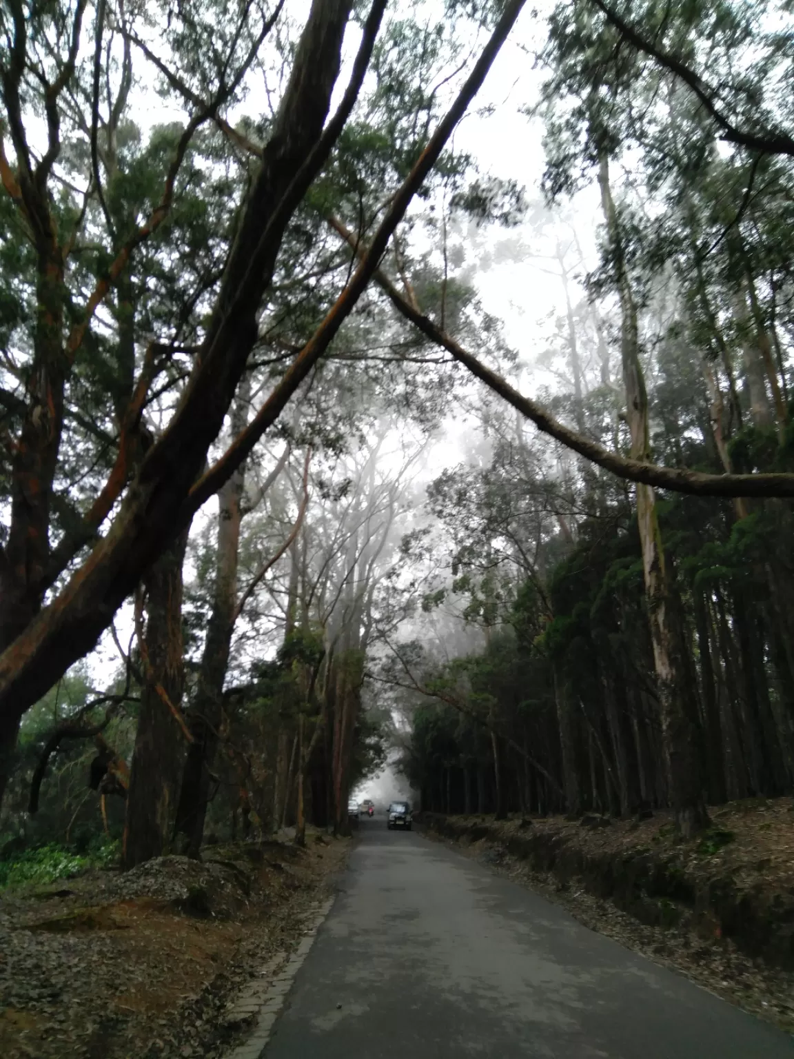 Photo of Ooty By Ashwin TR