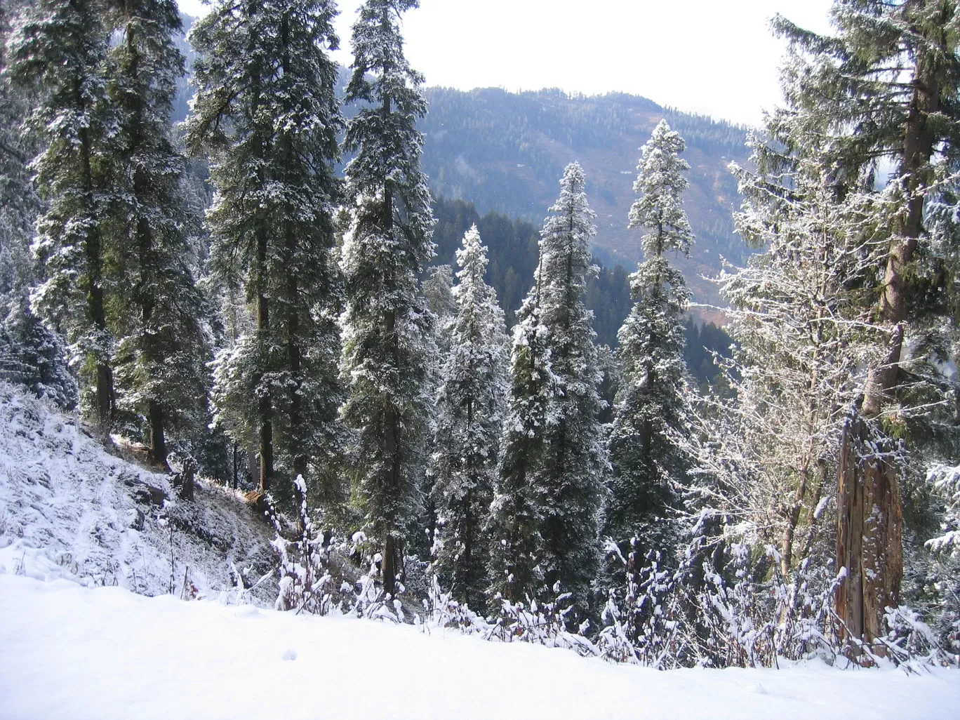 Photo of Jammu and Kashmir By Priyanka Telang