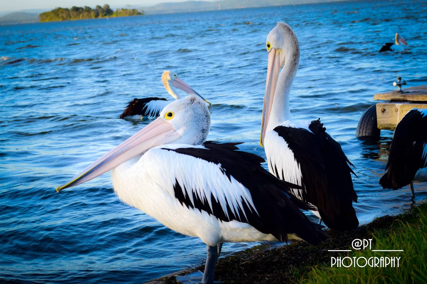 Photo of Port Stephens By Priyanka Telang