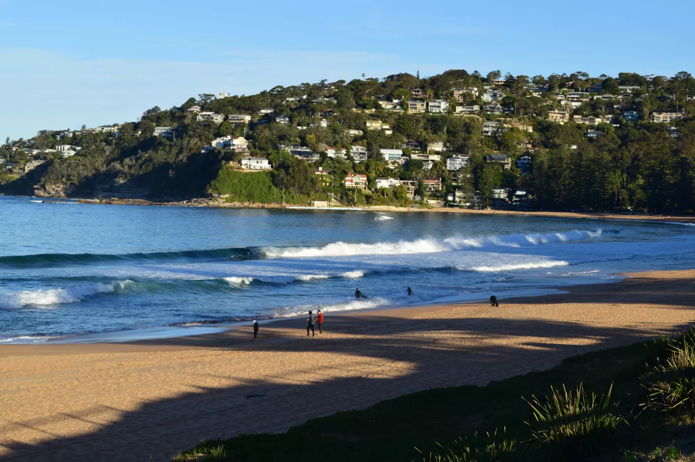 Photo of Palm Beach By Priyanka Telang