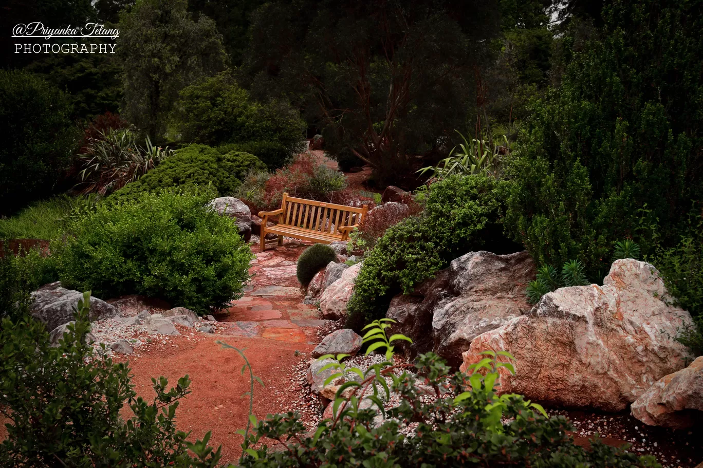 Photo of Blue Mountains Botanic Garden By Priyanka Telang