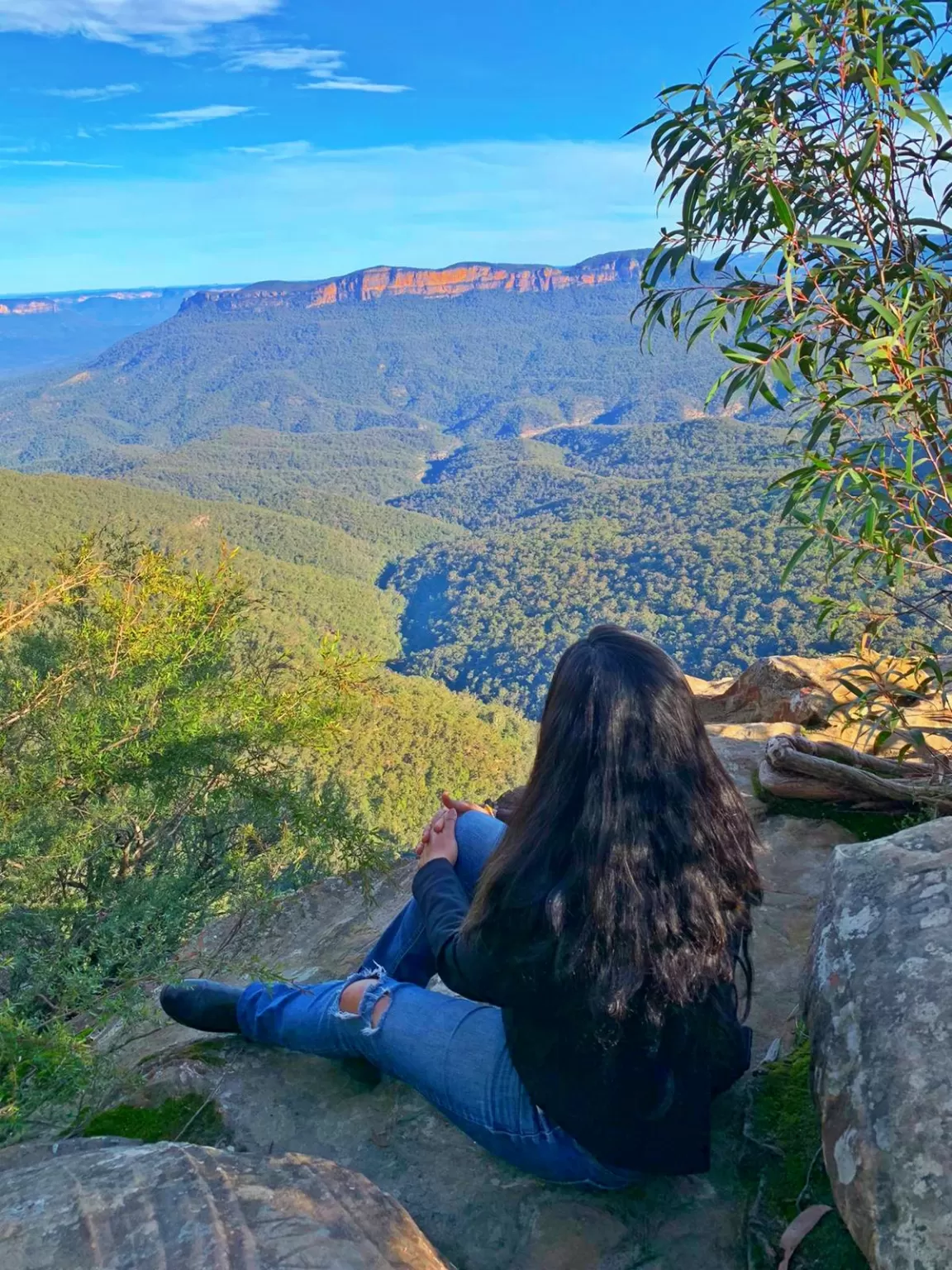 Photo of Gordon Falls Lookout By Priyanka Telang