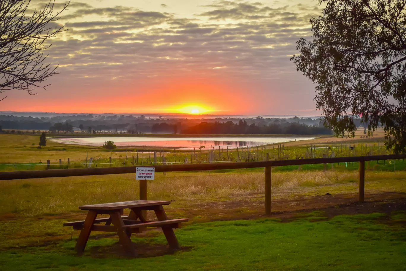 Photo of Hunter Region By Priyanka Telang