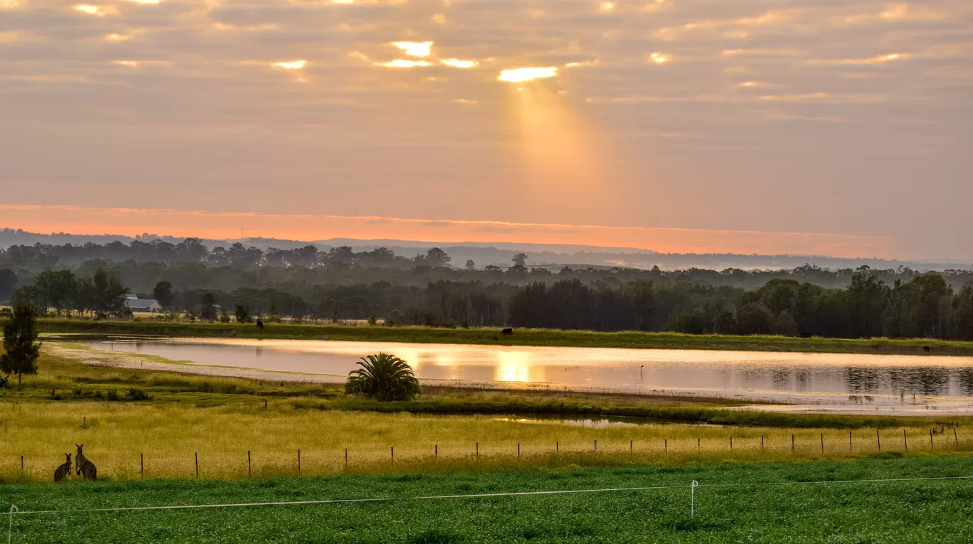 Photo of Hunter Region By Priyanka Telang