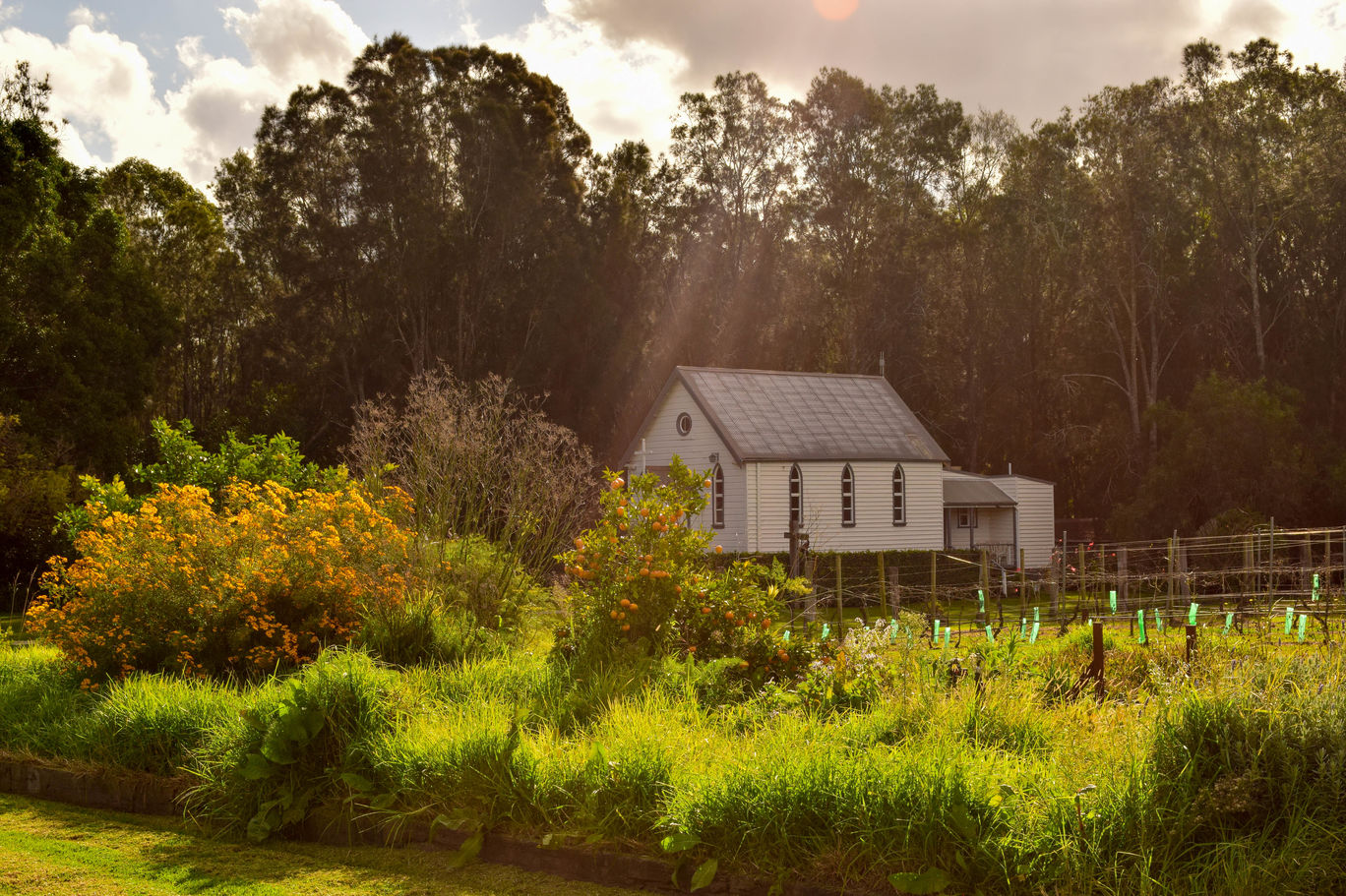 Photo of Hunter Region By Priyanka Telang