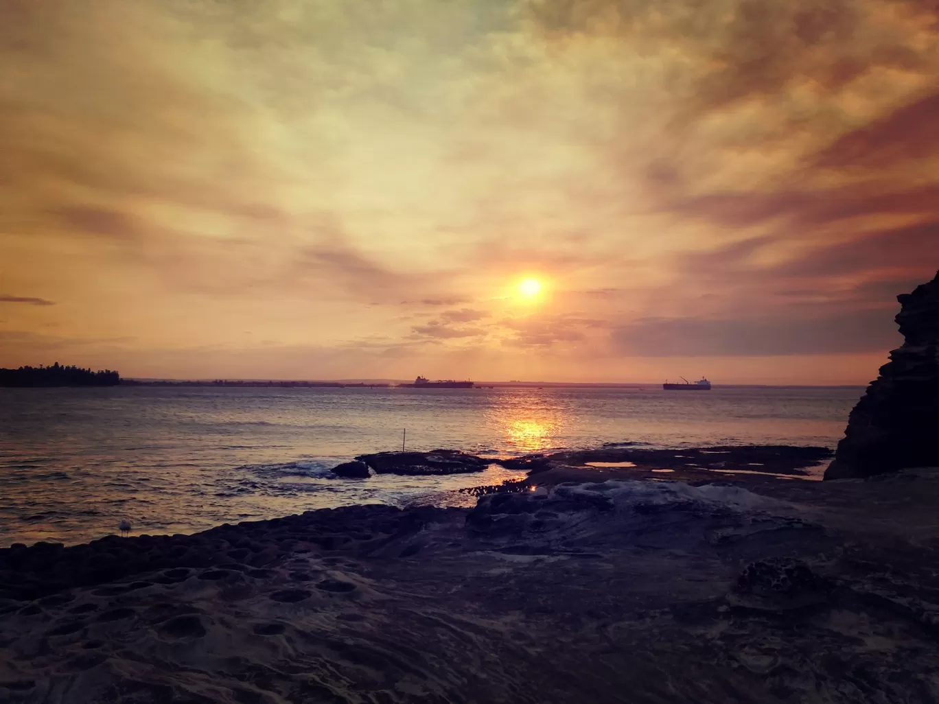 Photo of Kamay Botany Bay National Park By Priyanka Telang