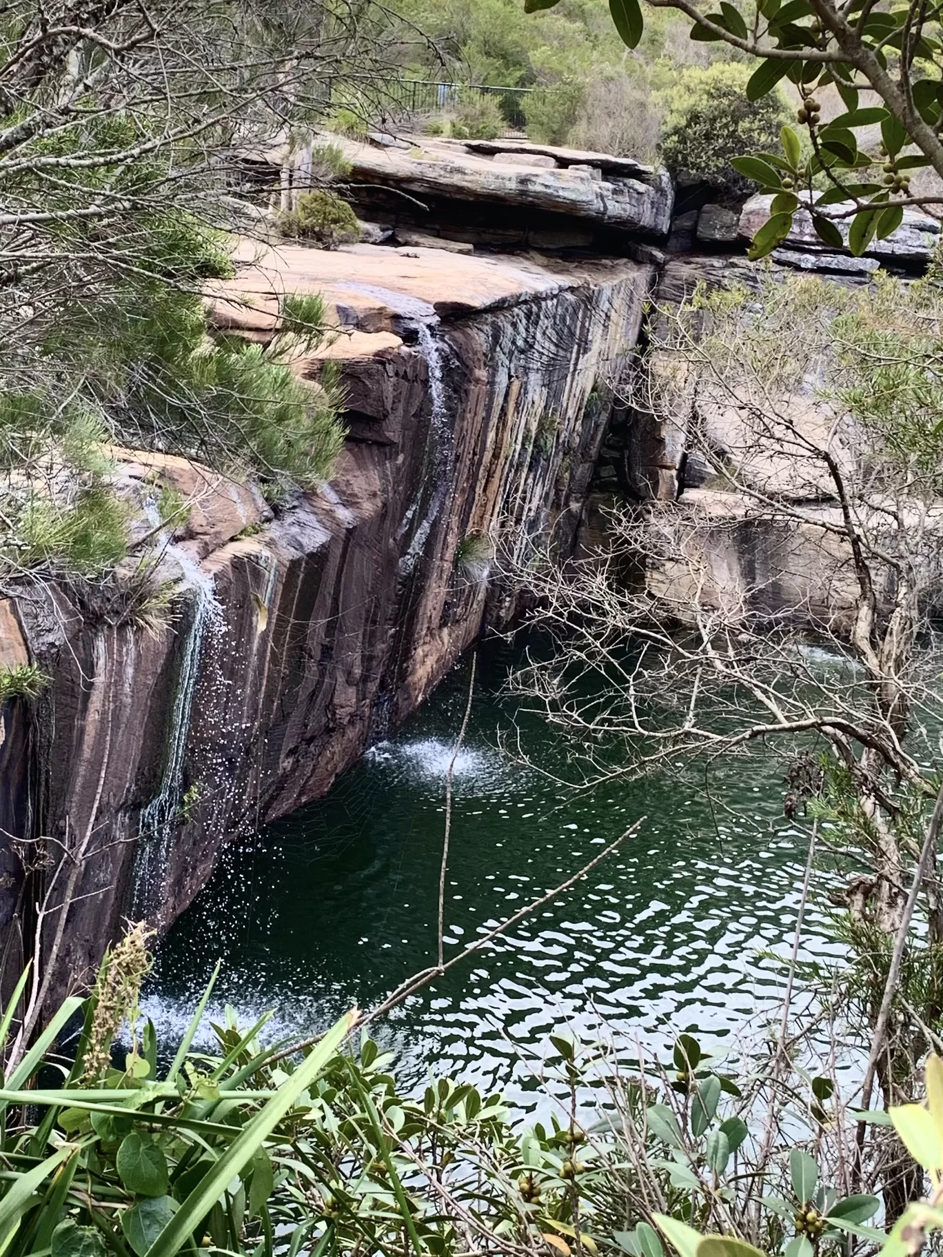 Photo of Wattamolla Beach By Priyanka Telang