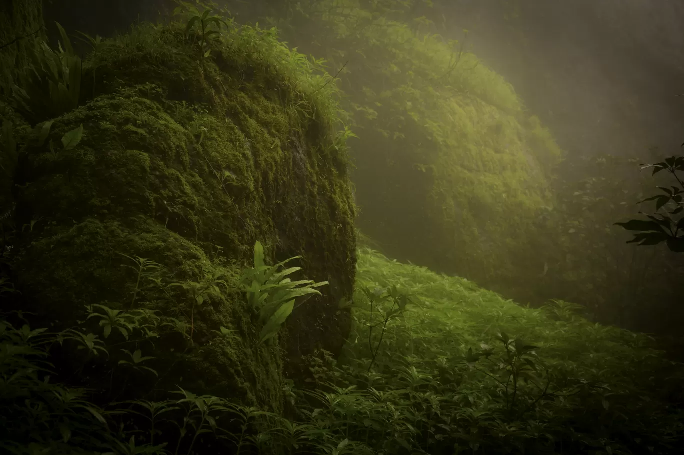 Photo of Rajgad Fort By Priyanka Telang