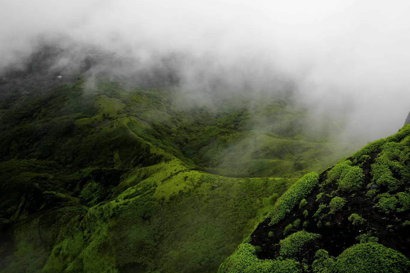 Photo of Rajgad Fort By Priyanka Telang