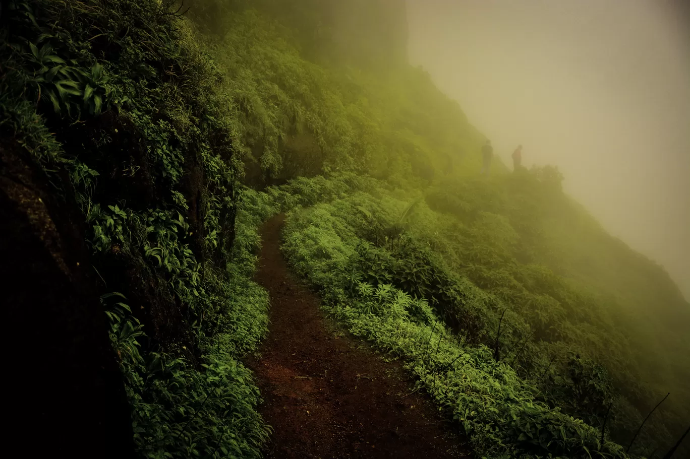 Photo of Rajgad Fort By Priyanka Telang