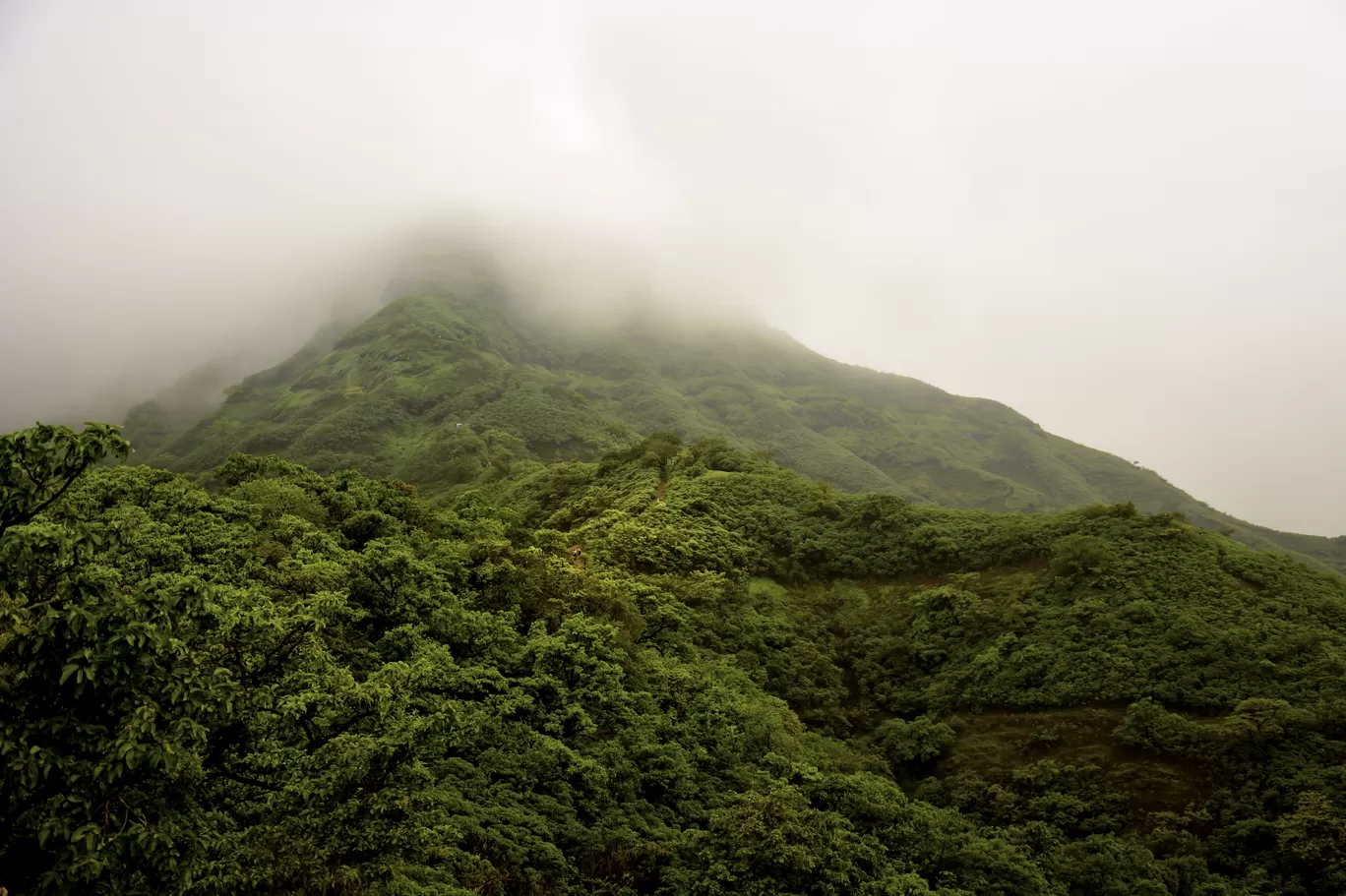 Photo of Rajgad Fort By Priyanka Telang