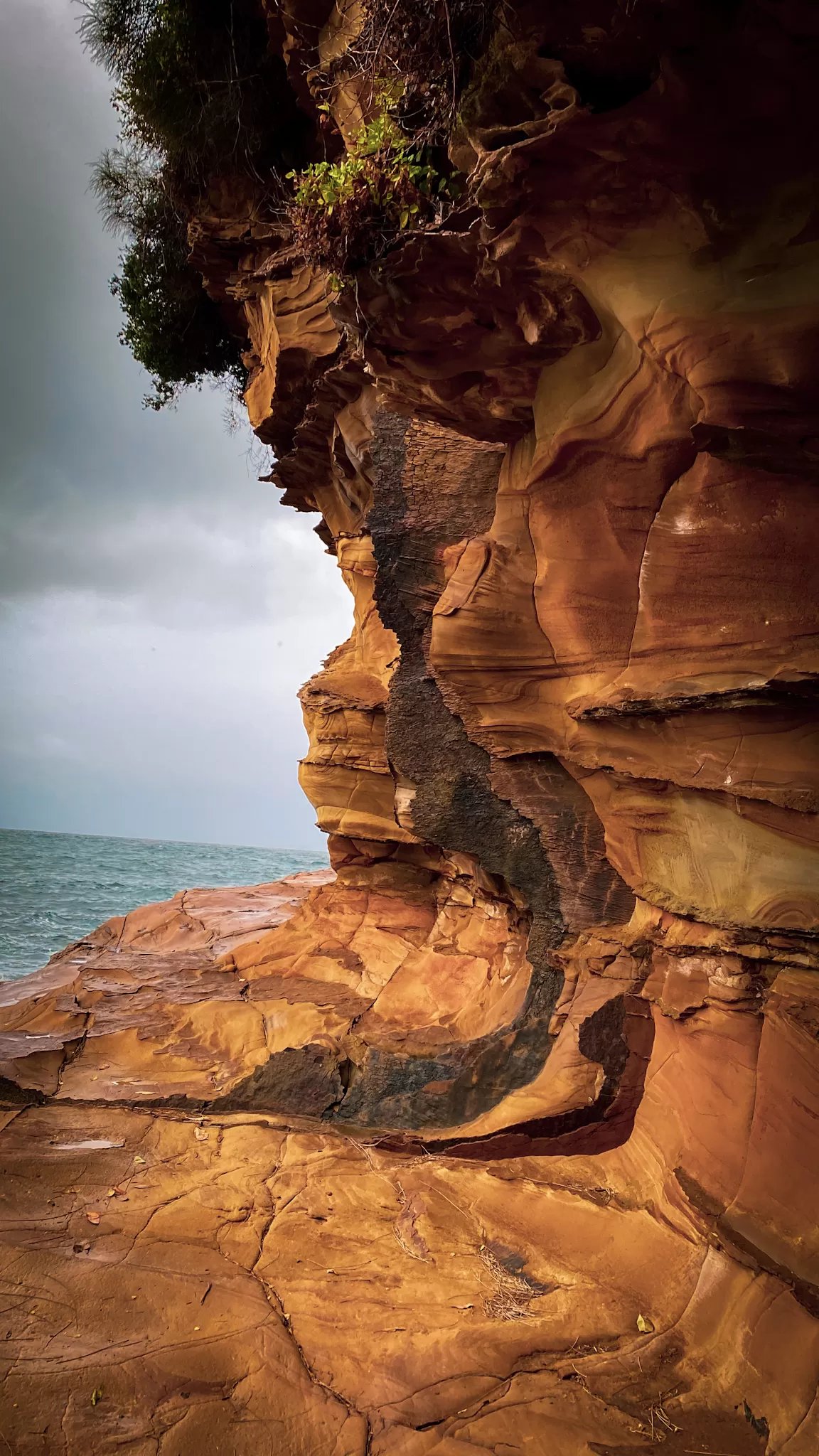 Photo of Avoca Beach By Priyanka Telang