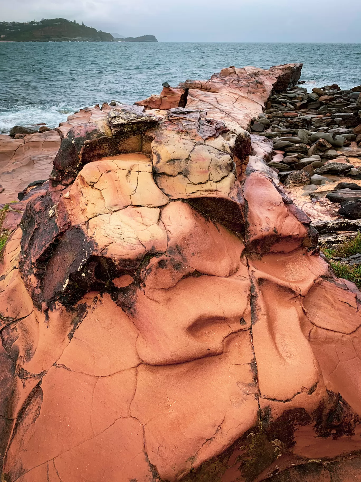 Photo of Avoca Beach By Priyanka Telang