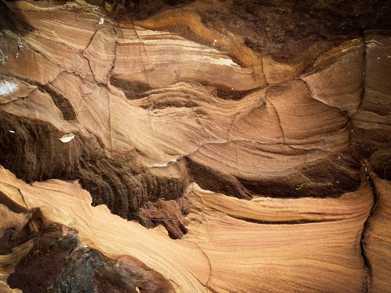 Photo of Avoca Beach By Priyanka Telang