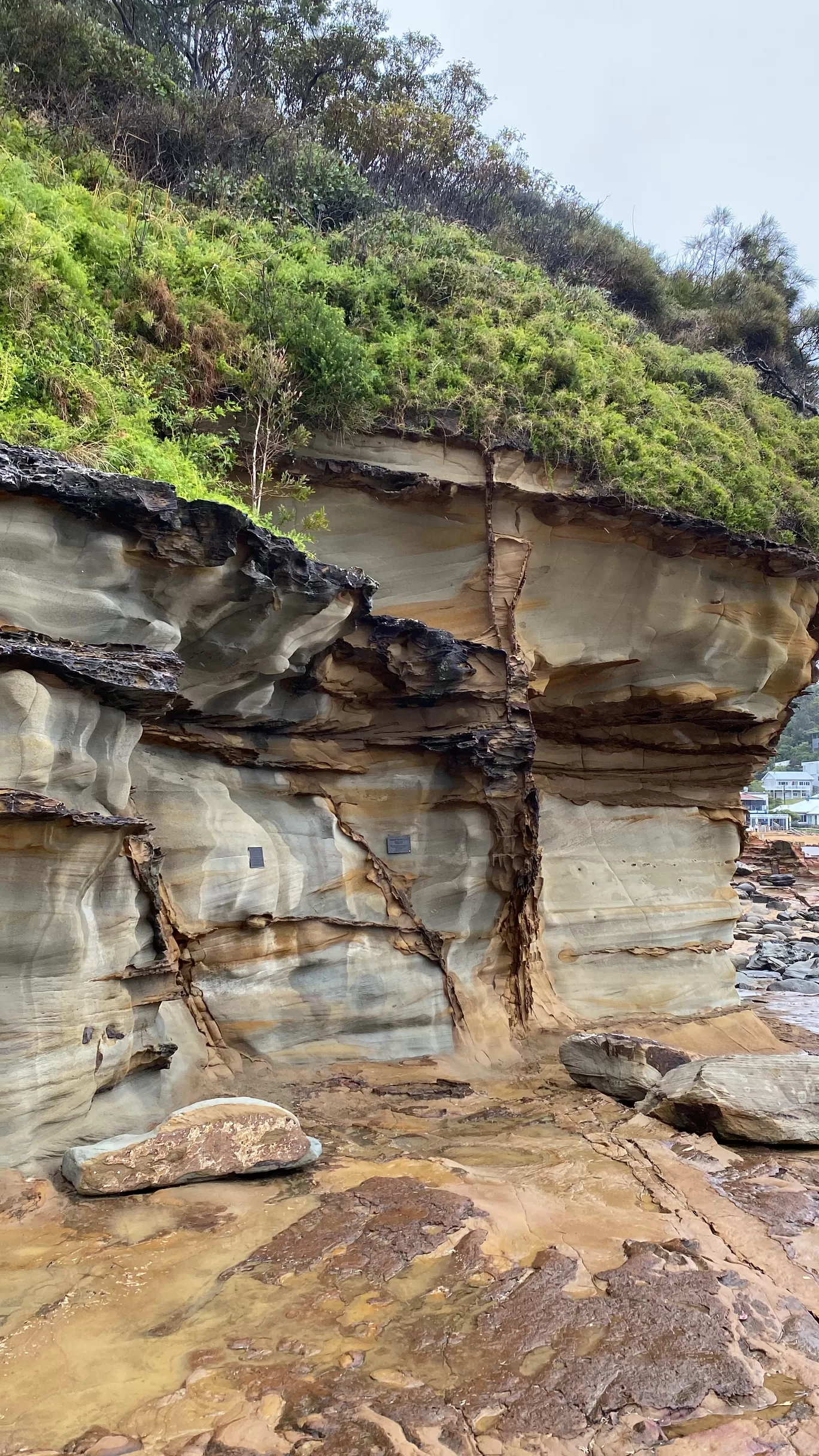Photo of Avoca Beach By Priyanka Telang
