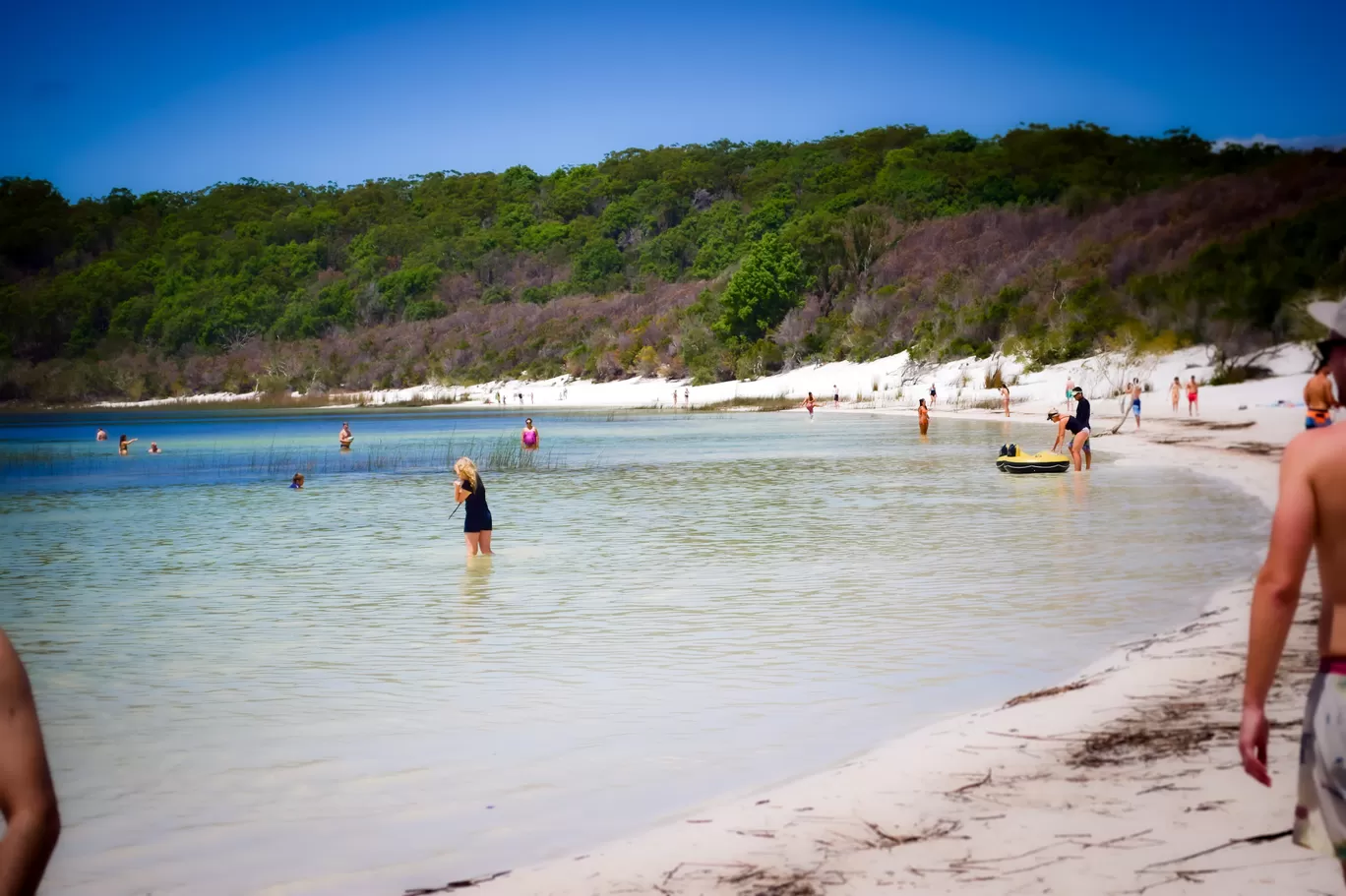 Photo of Fraser Island By Priyanka Telang
