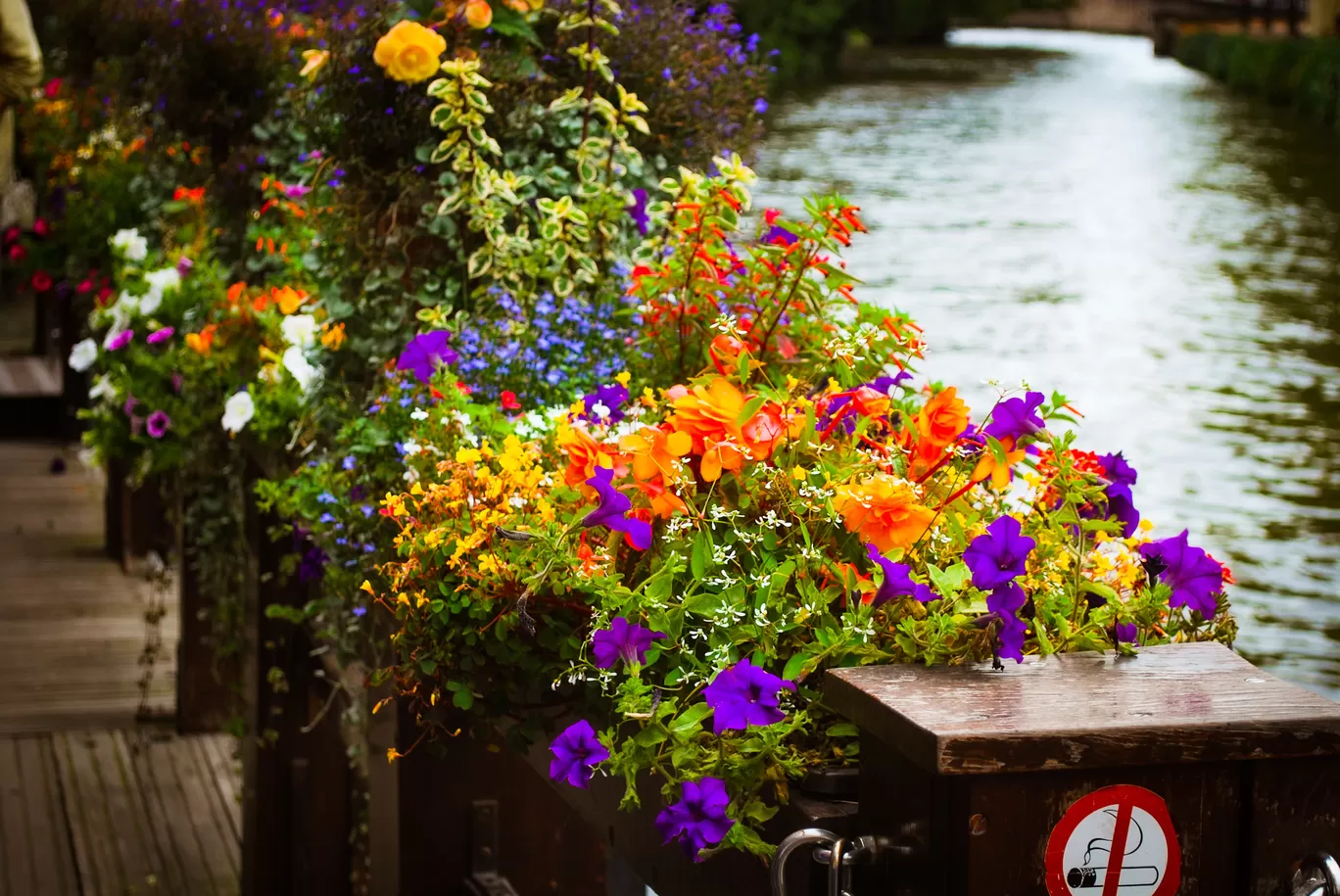 Photo of Bruges By Priyanka Telang