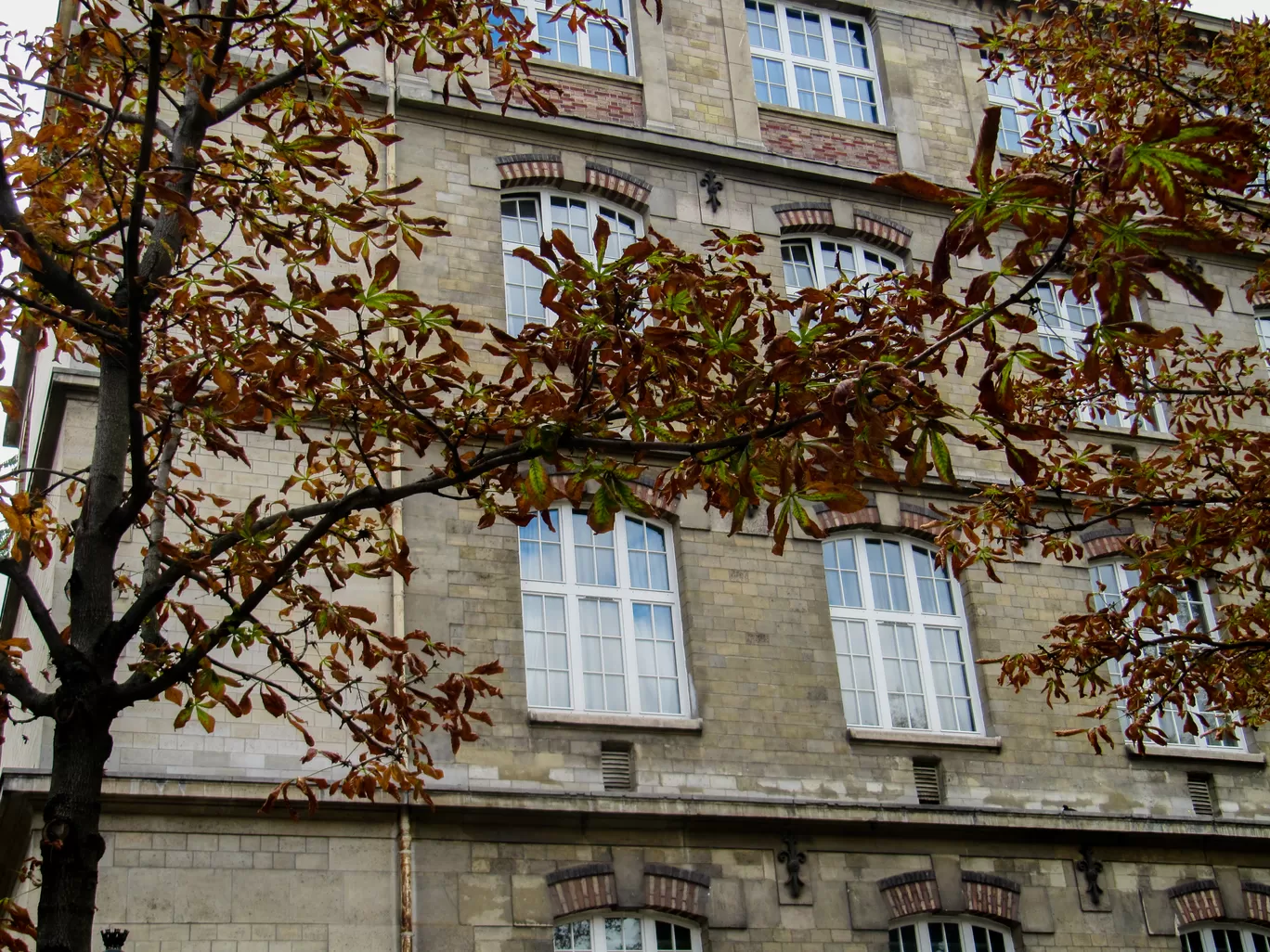 Photo of Paris By Priyanka Telang