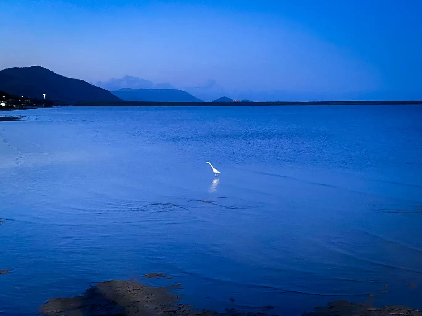 Photo of Australia By Priyanka Telang