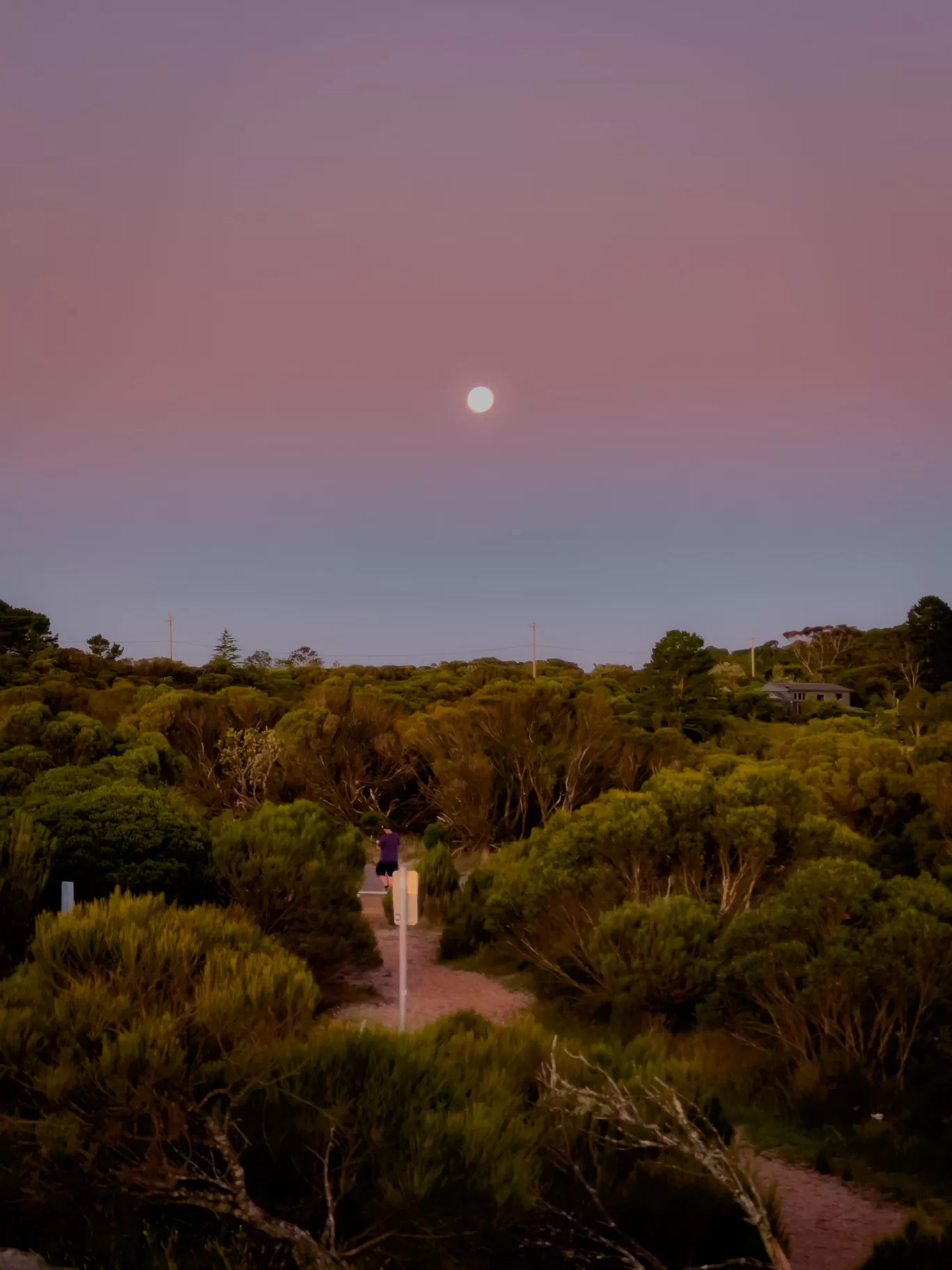 Photo of Australia By Priyanka Telang