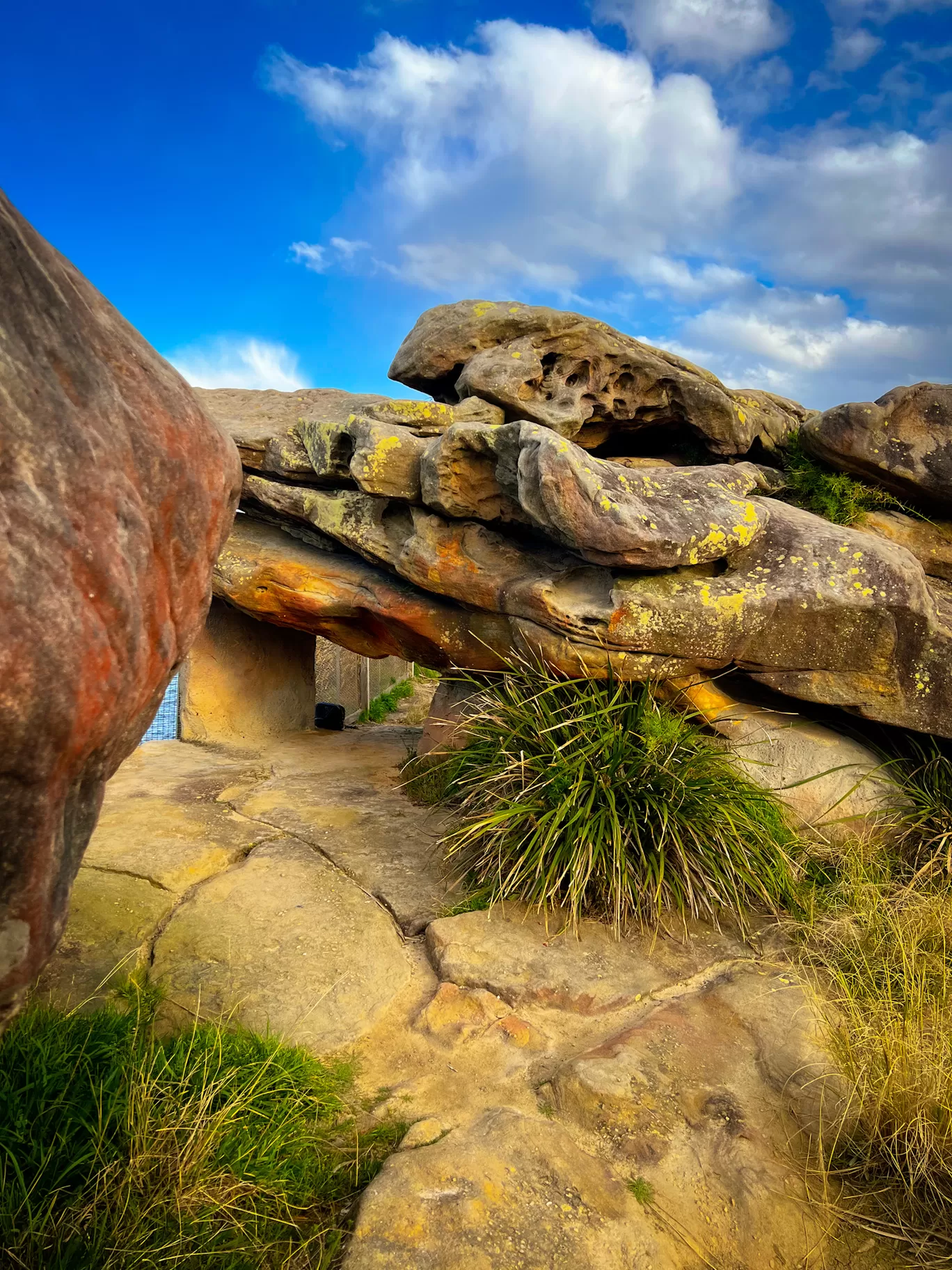 Photo of Australia By Priyanka Telang