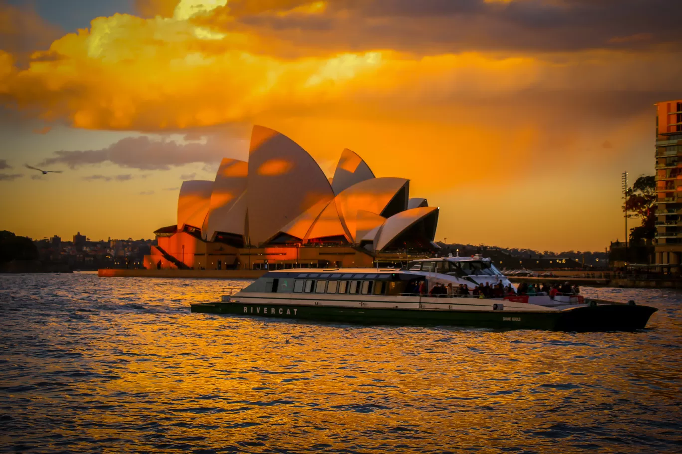 Photo of Australia By Priyanka Telang