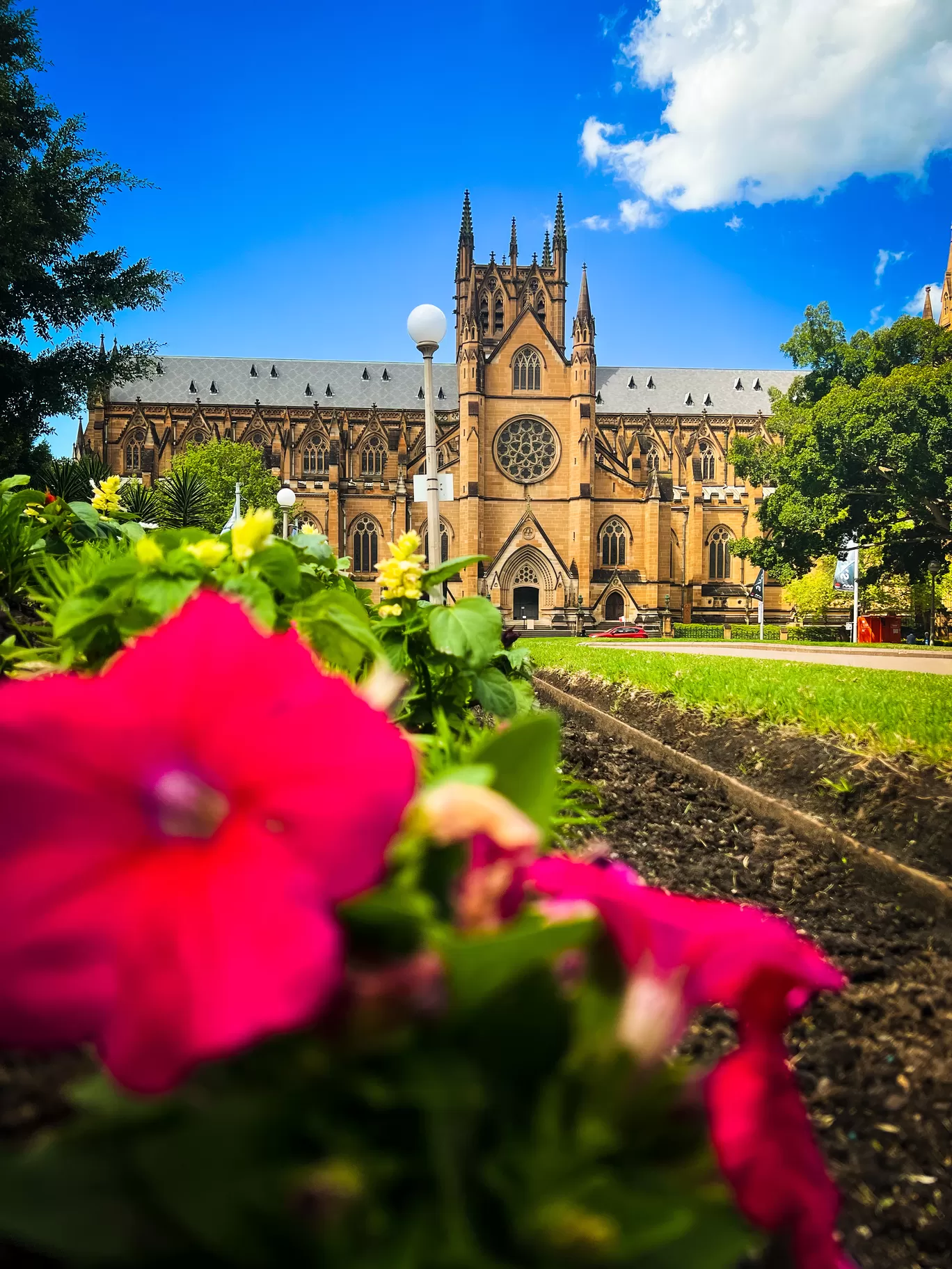 Photo of Sydney By Priyanka Telang