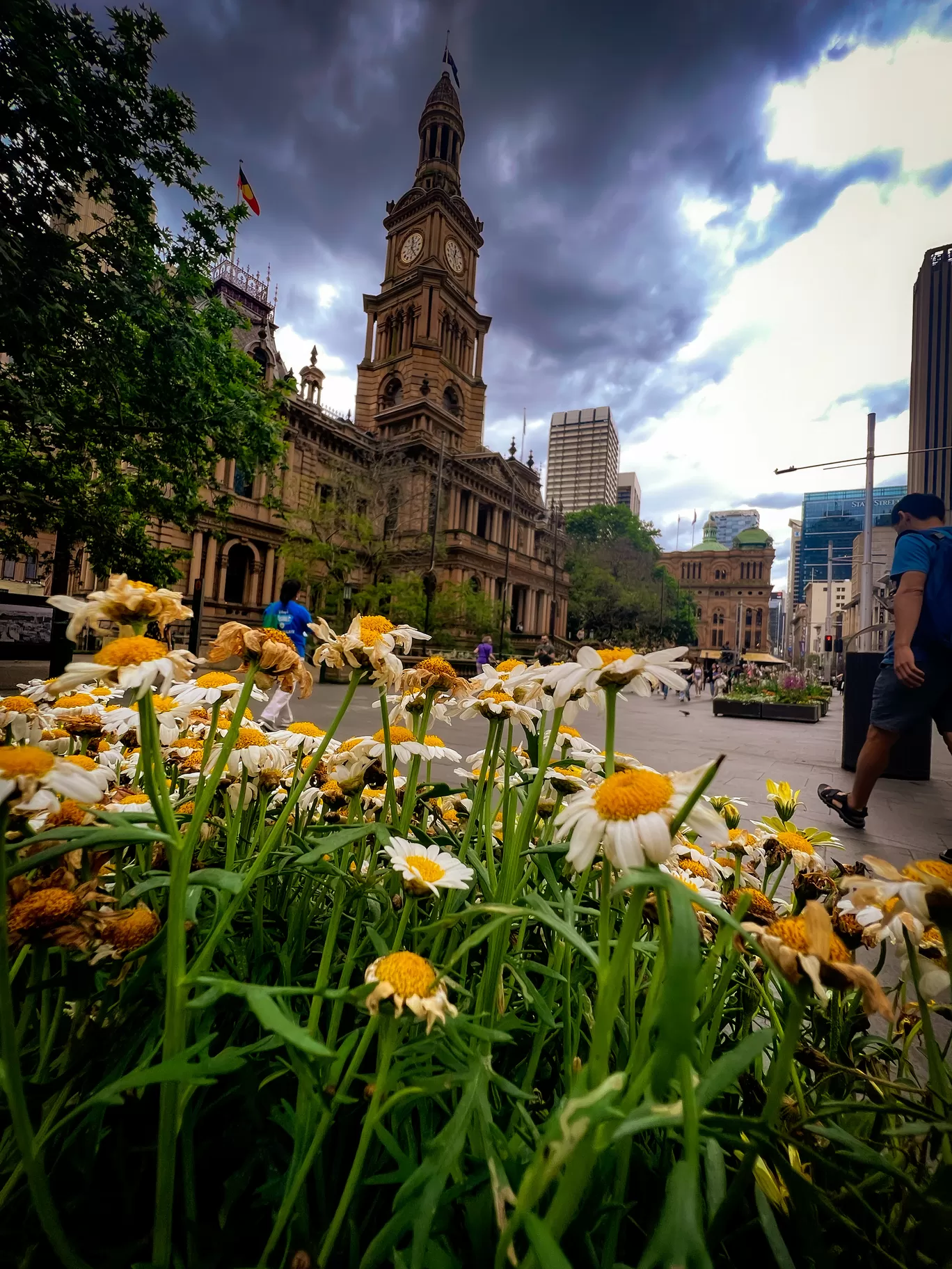 Photo of Sydney By Priyanka Telang