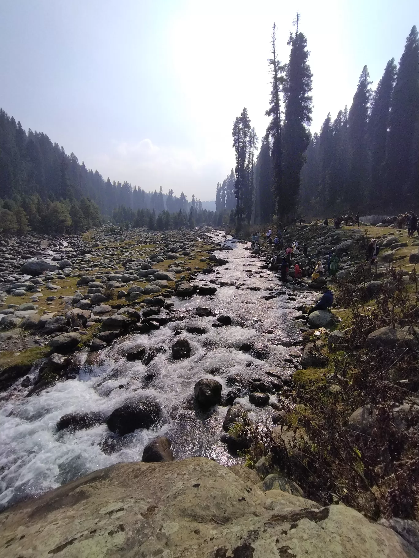 Photo of Doodhpathri By Rahul Sharma