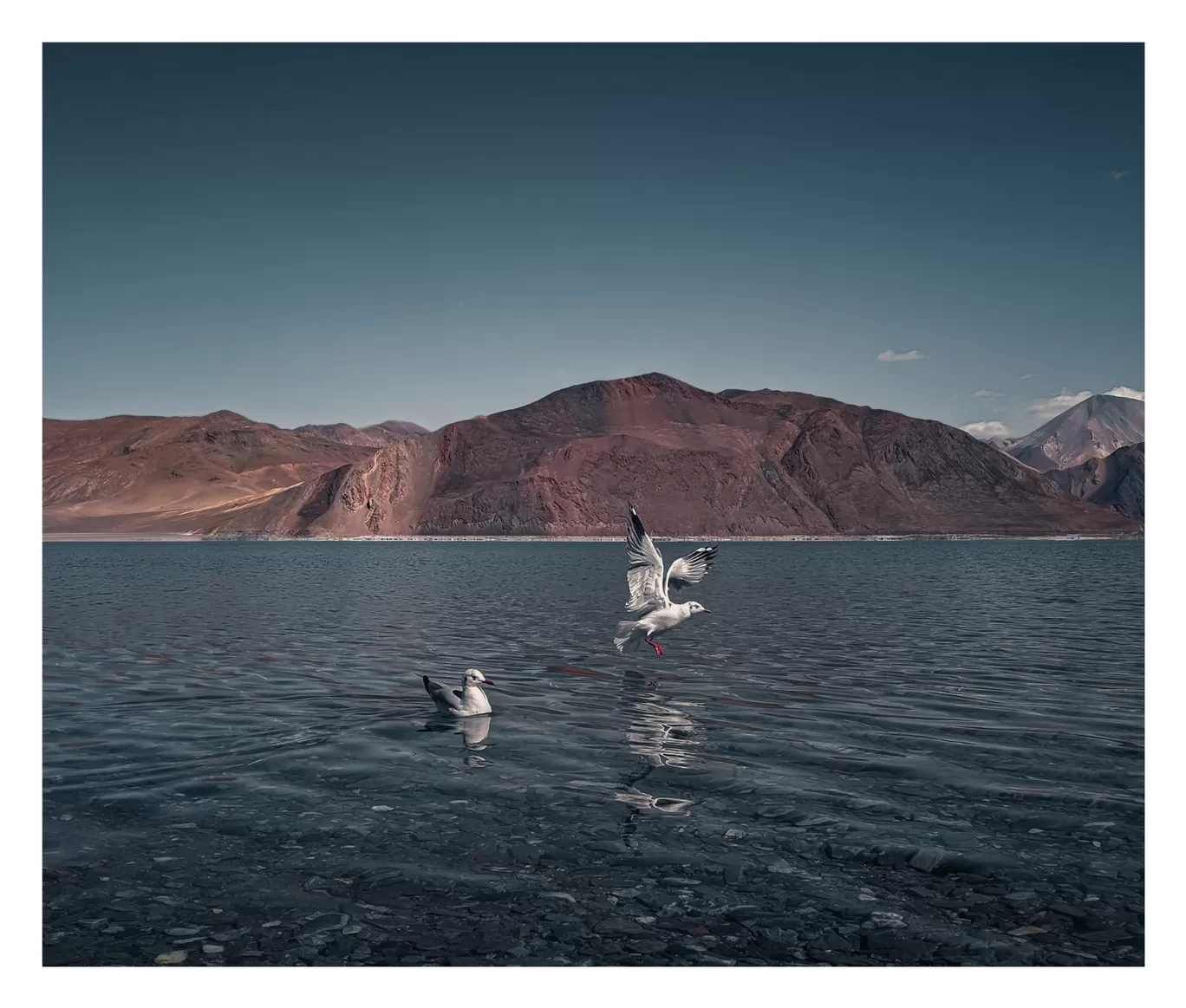 Photo of Ladakh By Amrit Goswami