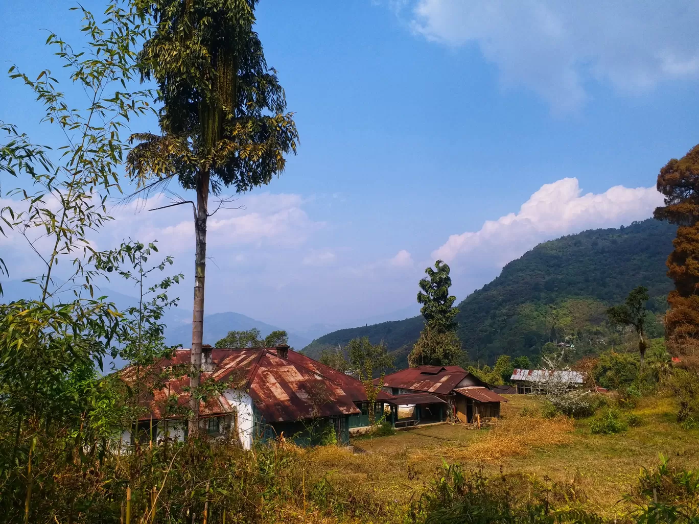 Photo of Kalimpong By Traveldiaryofanambivert ~ Ayushma 