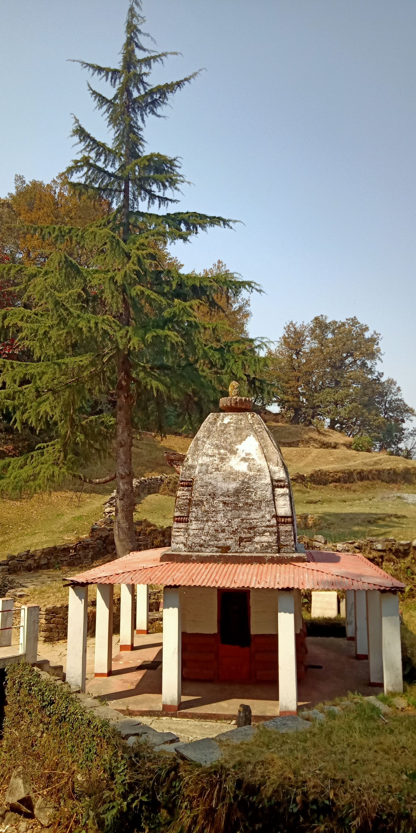 Photo of Village Tour To Gonap Village From Binsar Wildlife Sanctury By Negi Singh Gopal