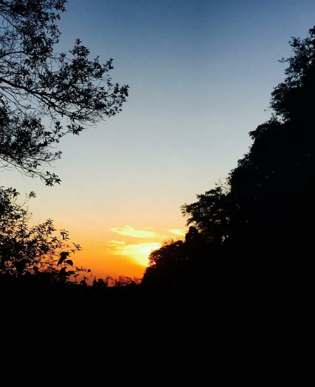 Photo of Tiger Hill Sunrise Observatory By Shireena Jose