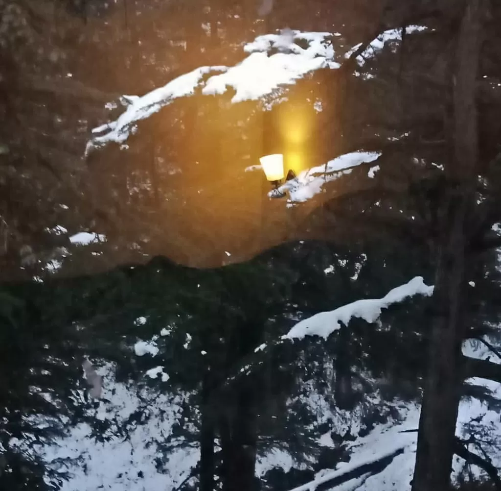 Photo of Chail By Shireena Jose