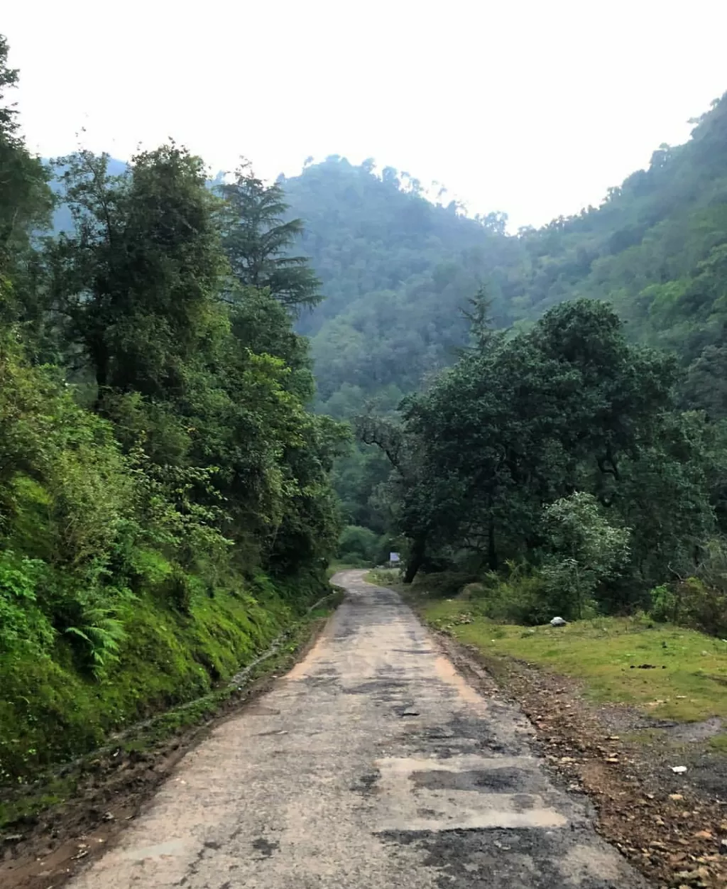 Photo of Chail By Shireena Jose
