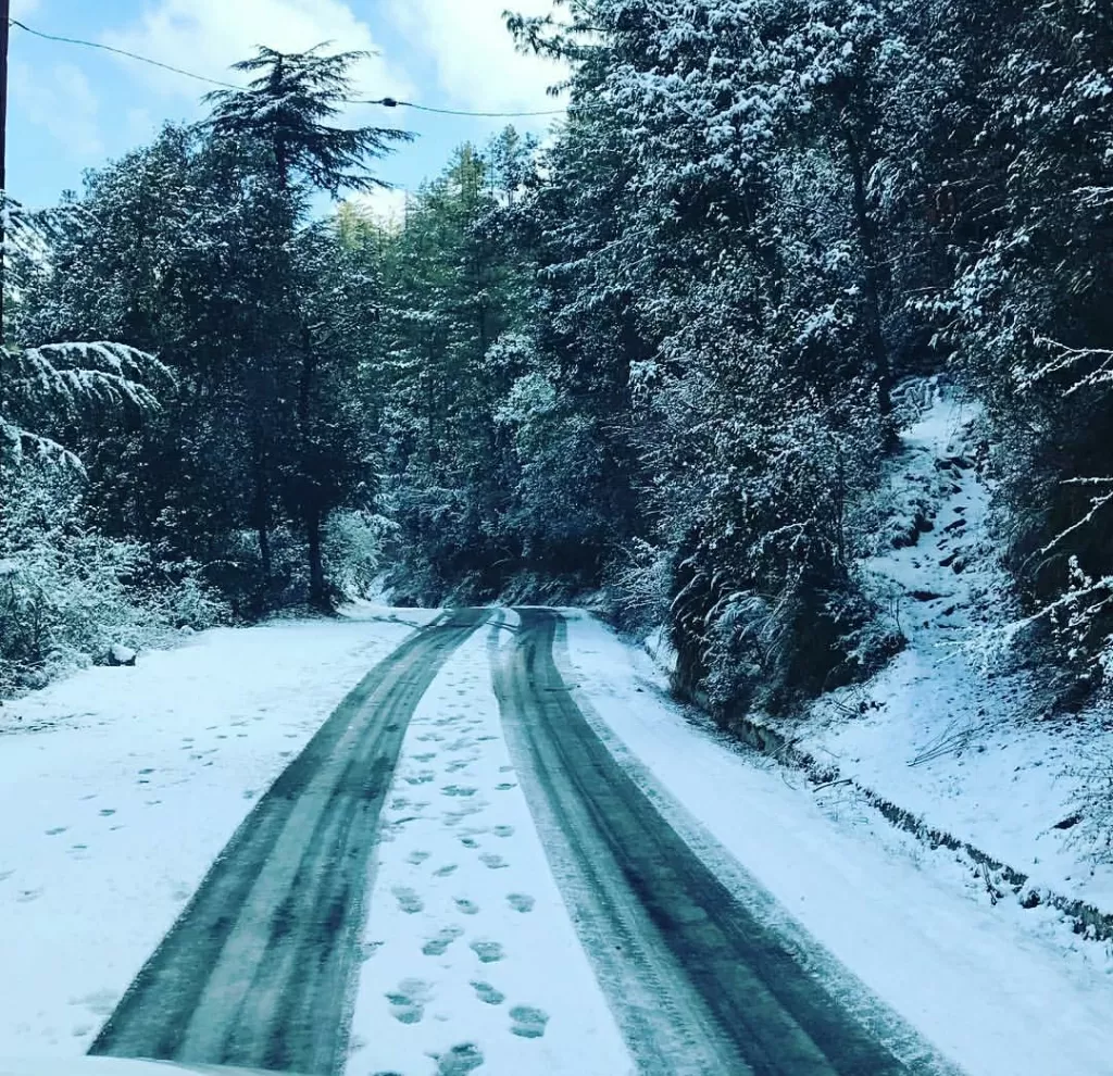 Photo of Chail By Shireena Jose