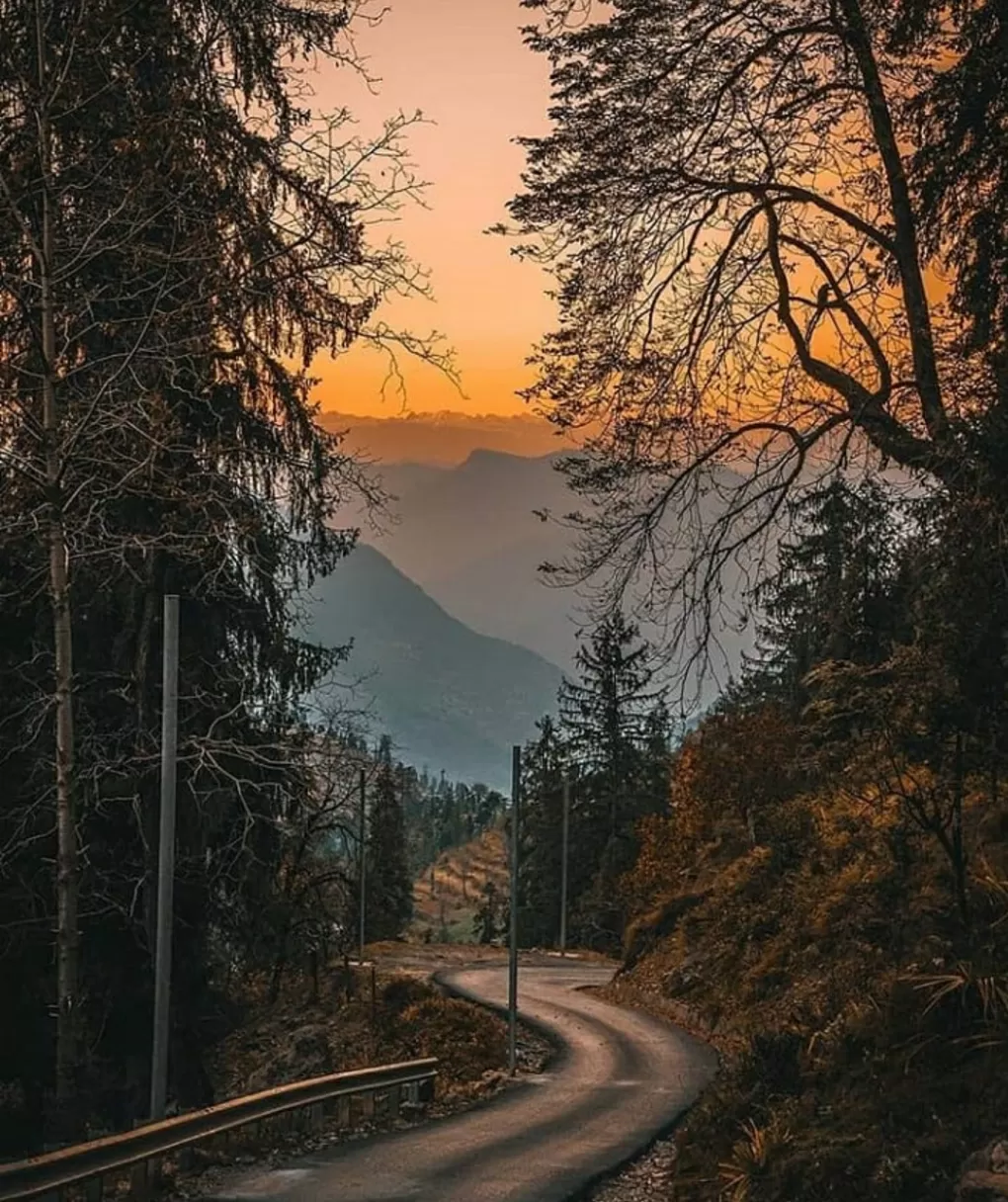 Photo of Chail By Shireena Jose